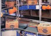 Belt Conveyor