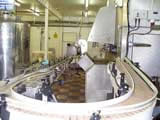 Slat Conveyor