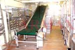Belt Conveyor